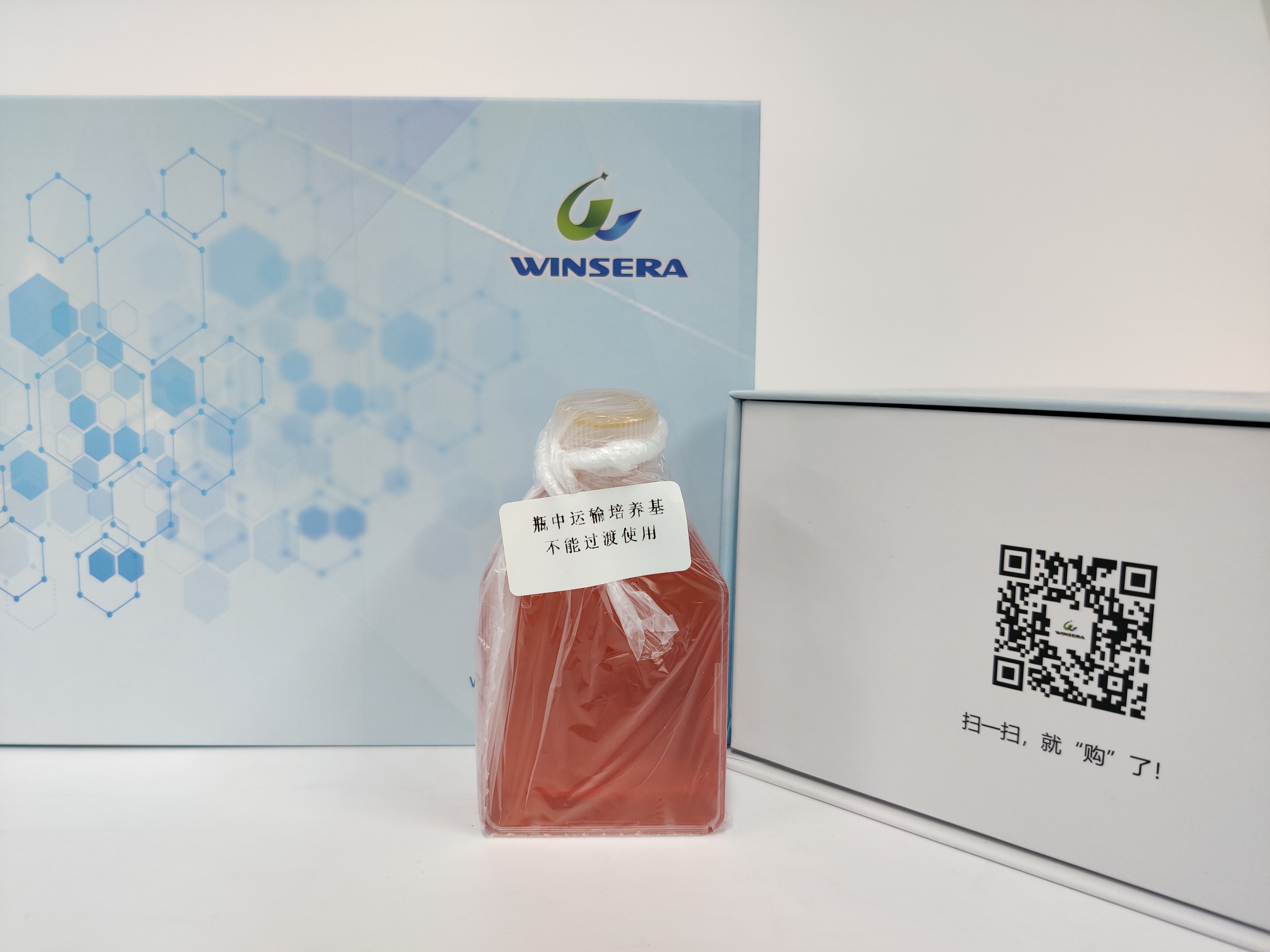 人结肠癌细胞SNU-C1